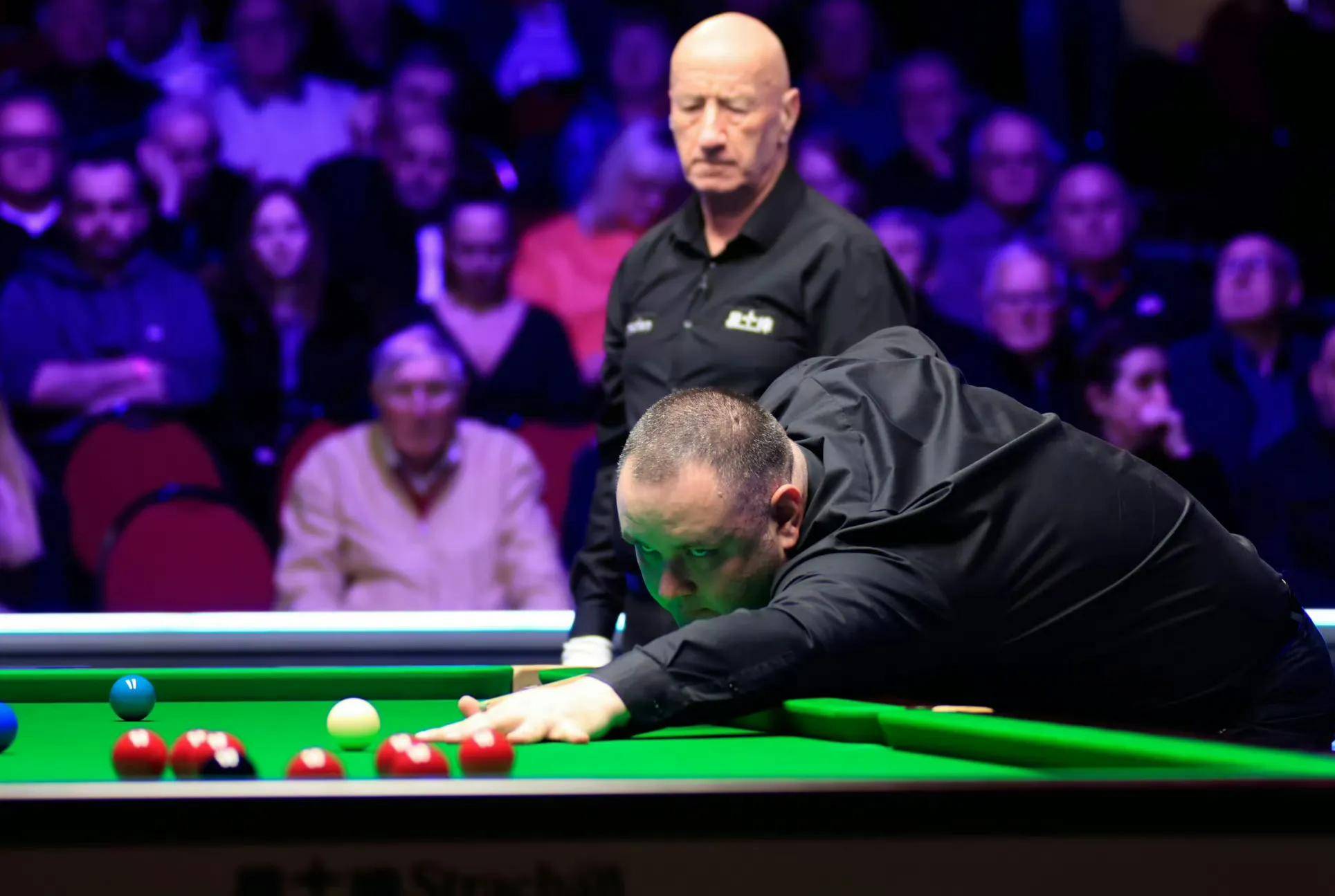 稳定赢球的 稳定赢球的